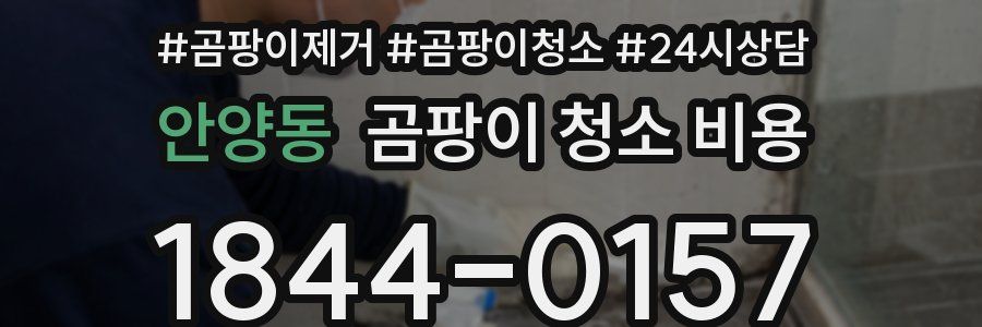 안양동 곰팡이 청소 비용