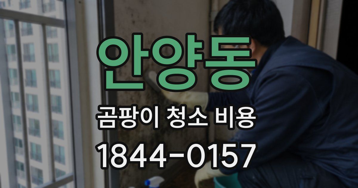 안양동 곰팡이 청소 비용