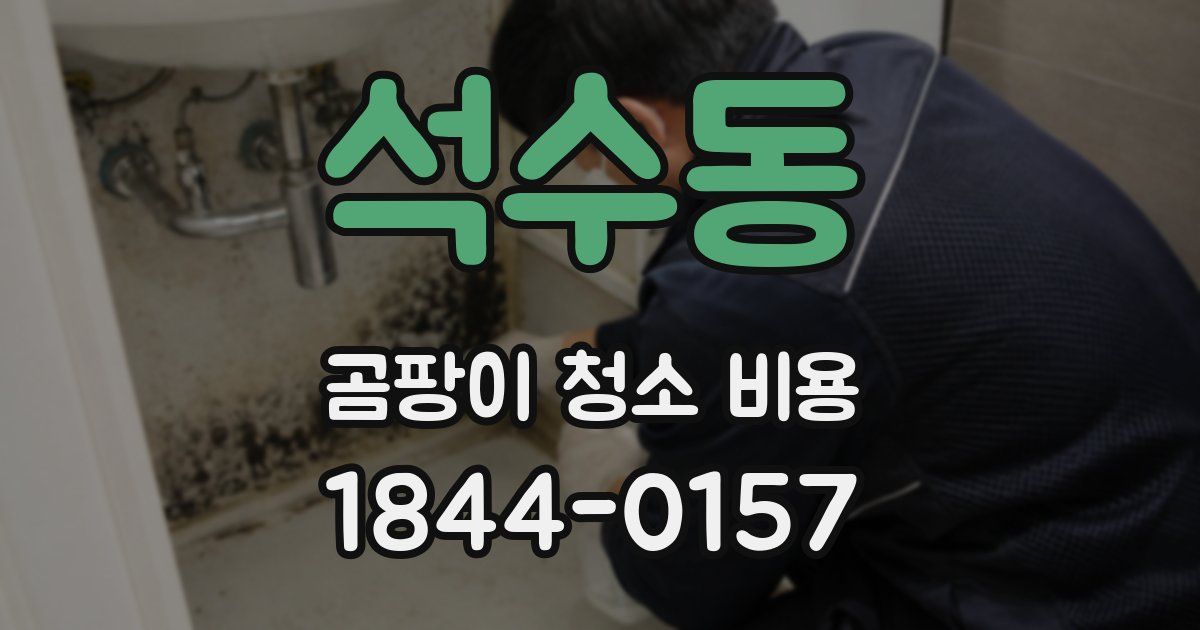 석수동 곰팡이 청소 비용
