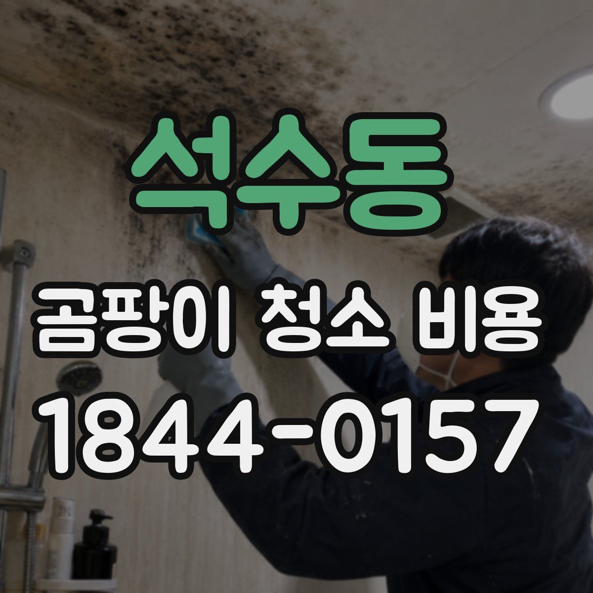 석수동 곰팡이 청소 비용
