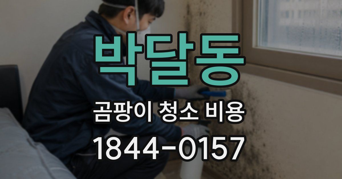 박달동 곰팡이 청소 비용