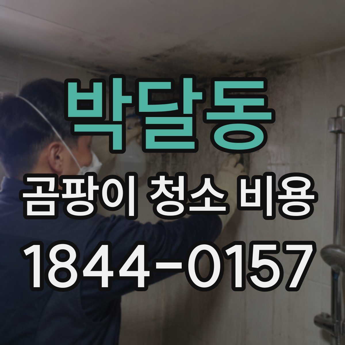 박달동 곰팡이 청소 비용