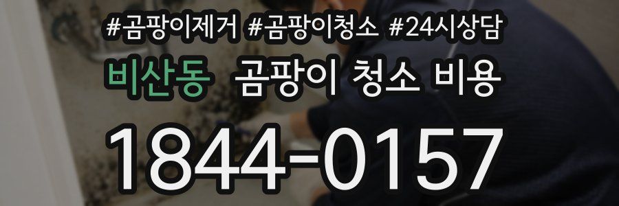 비산동 곰팡이 청소 비용