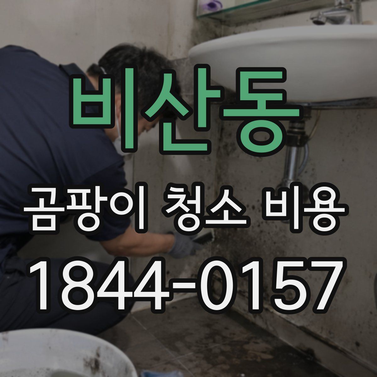 비산동 곰팡이 청소 비용