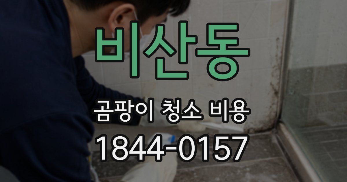 비산동 곰팡이 청소 비용