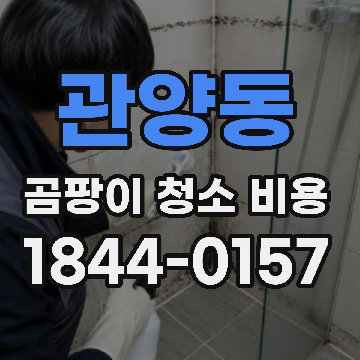 관양동 곰팡이 청소 비용
