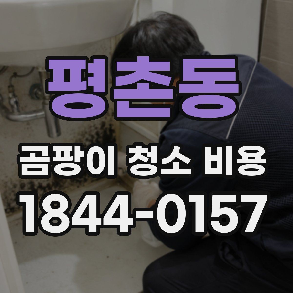 평촌동 곰팡이 청소 비용 환기 불량 공간에서 더 높아지는 이유