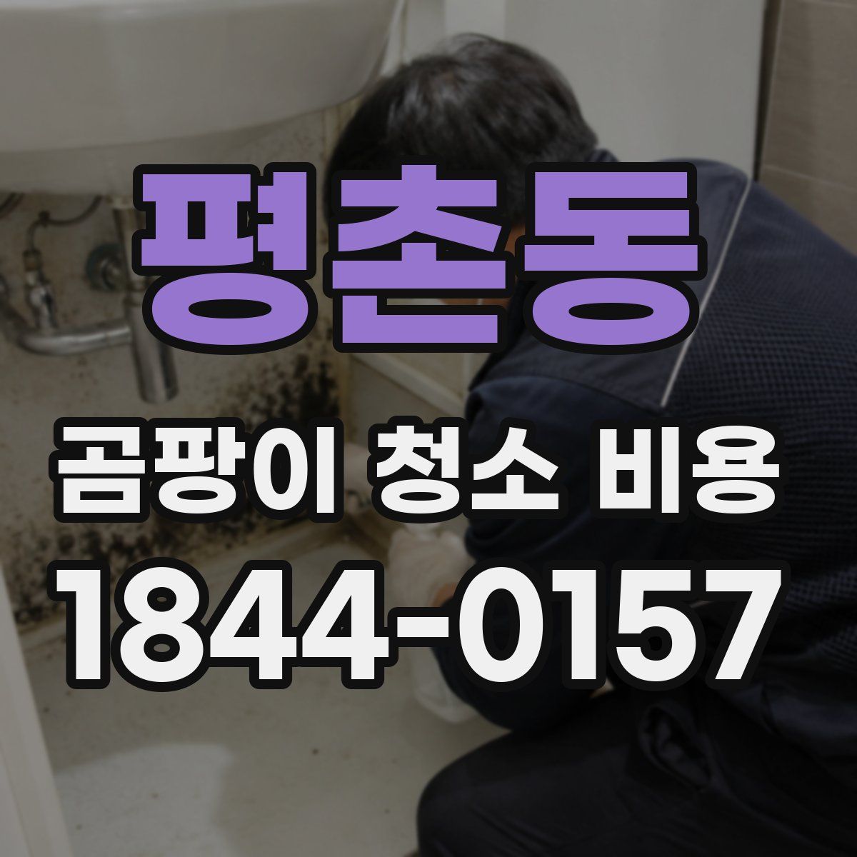 평촌동 곰팡이 청소 비용