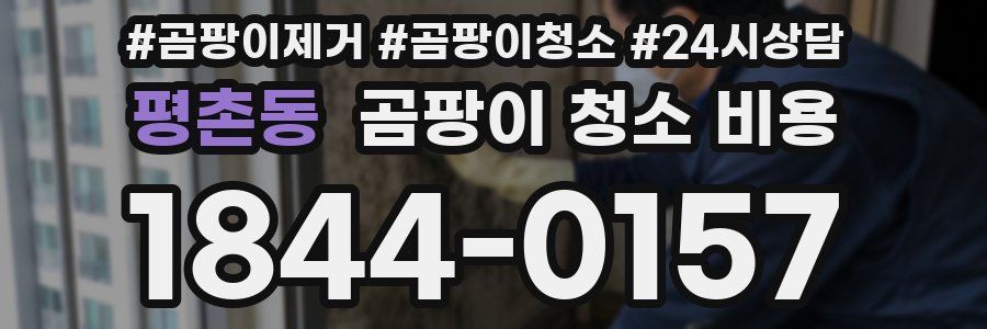평촌동 곰팡이 청소 비용