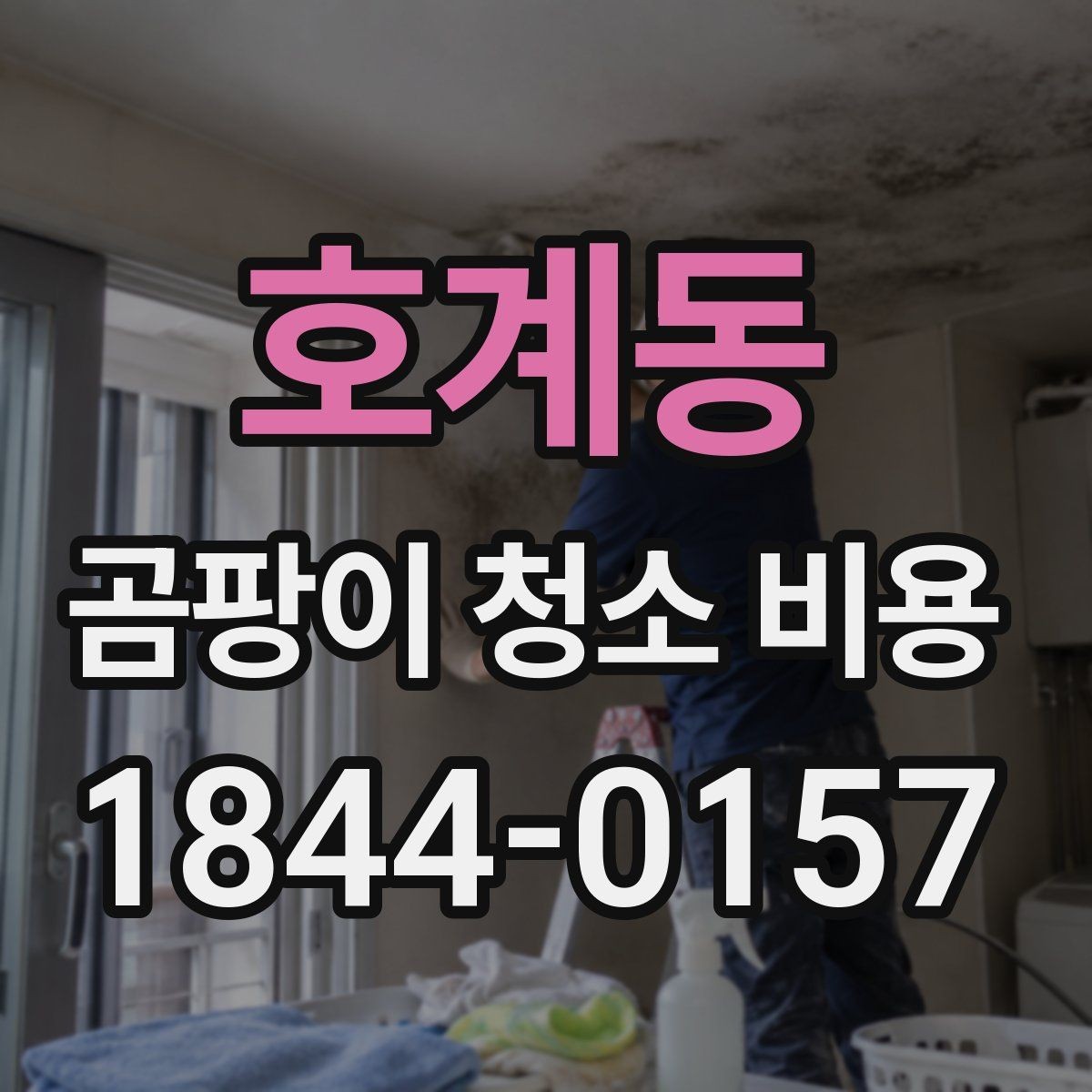 호계동 곰팡이 청소 비용 침구·매트리스 오염은 어디까지 처리될까