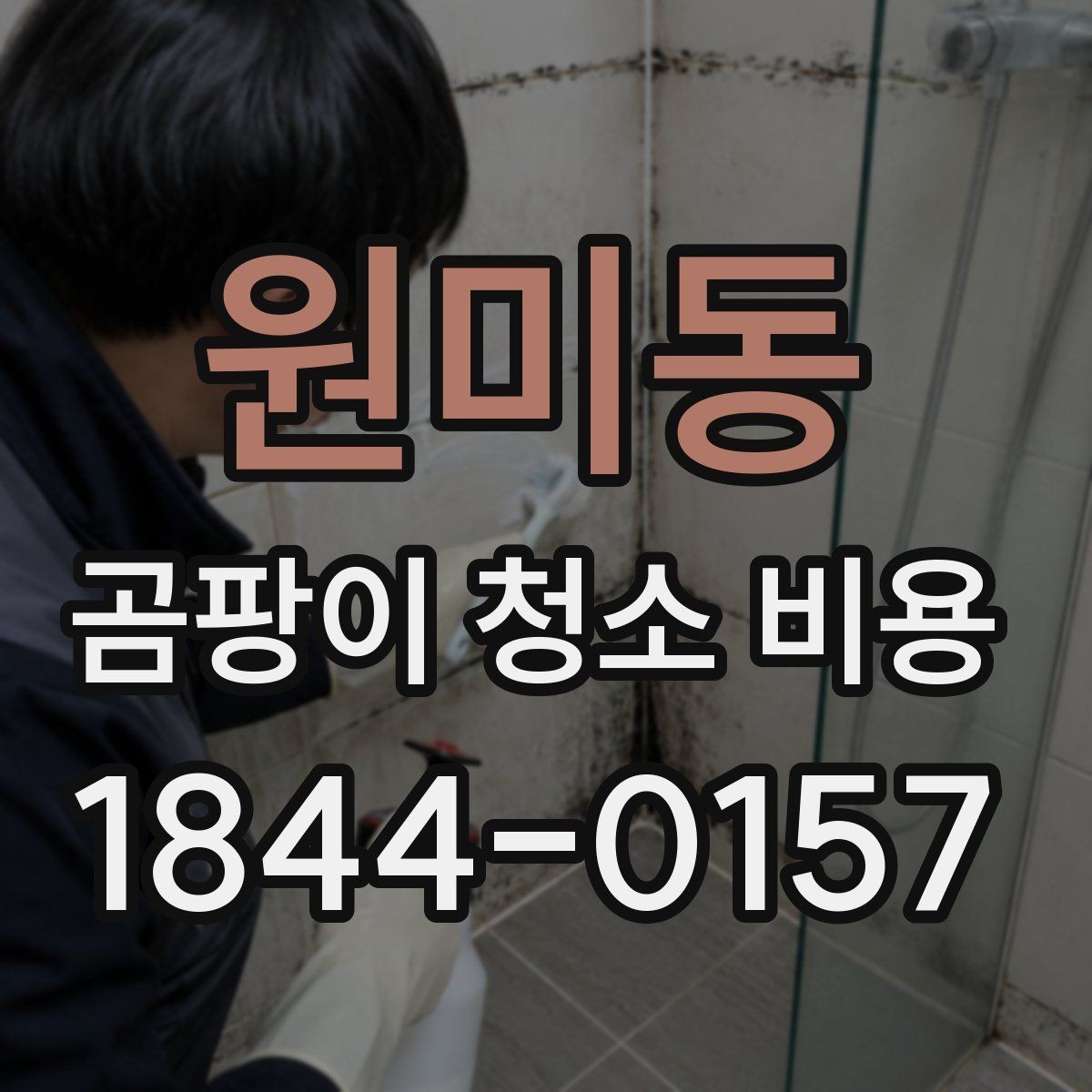 원미동 곰팡이 청소 비용 원룸과 오피스텔에서 자주 나오는 문의 정리
