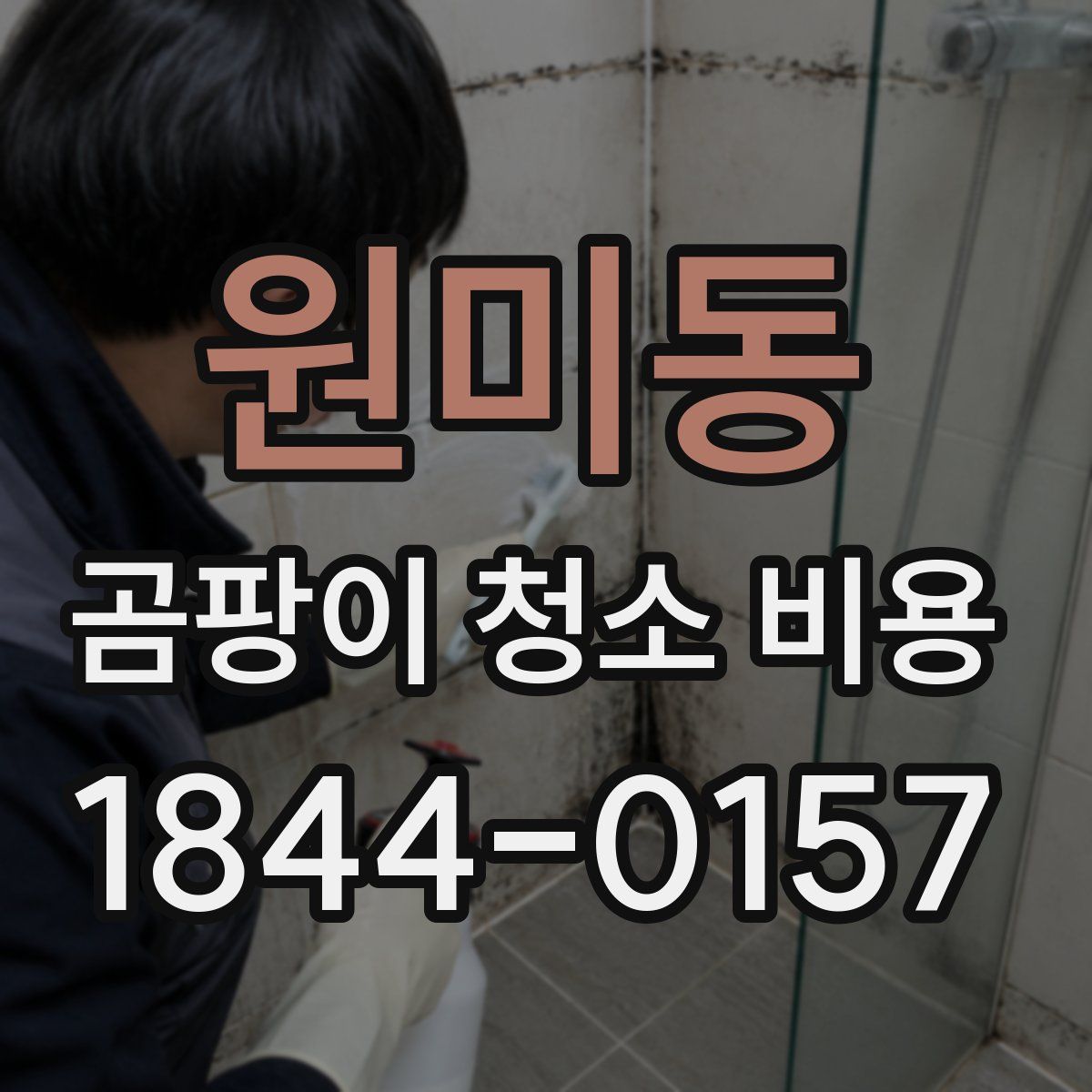 원미동 곰팡이 청소 비용