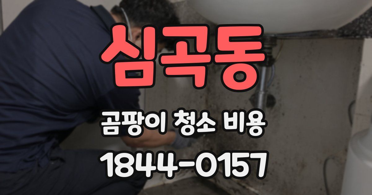 심곡동 곰팡이 청소 비용