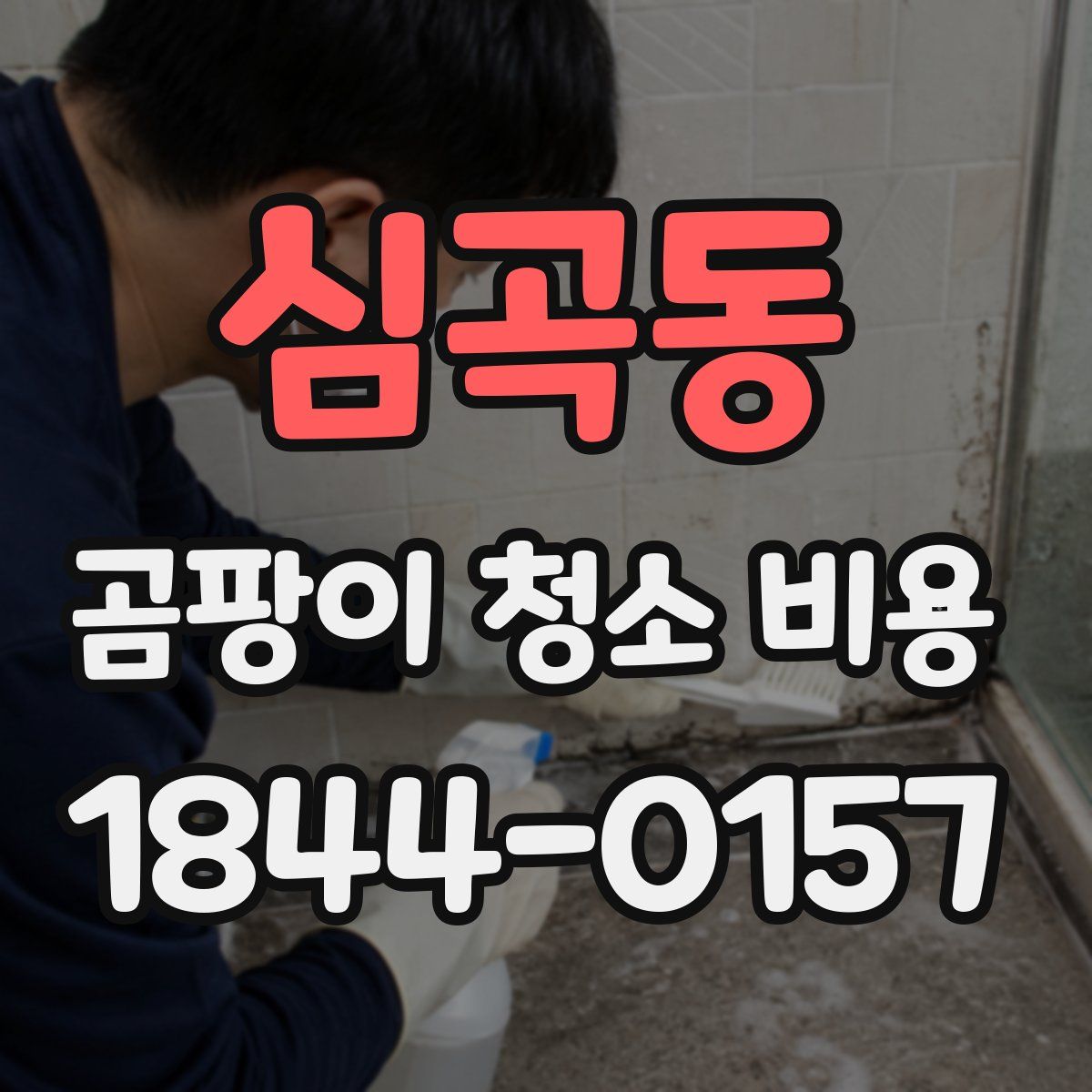 심곡동 곰팡이 청소 비용