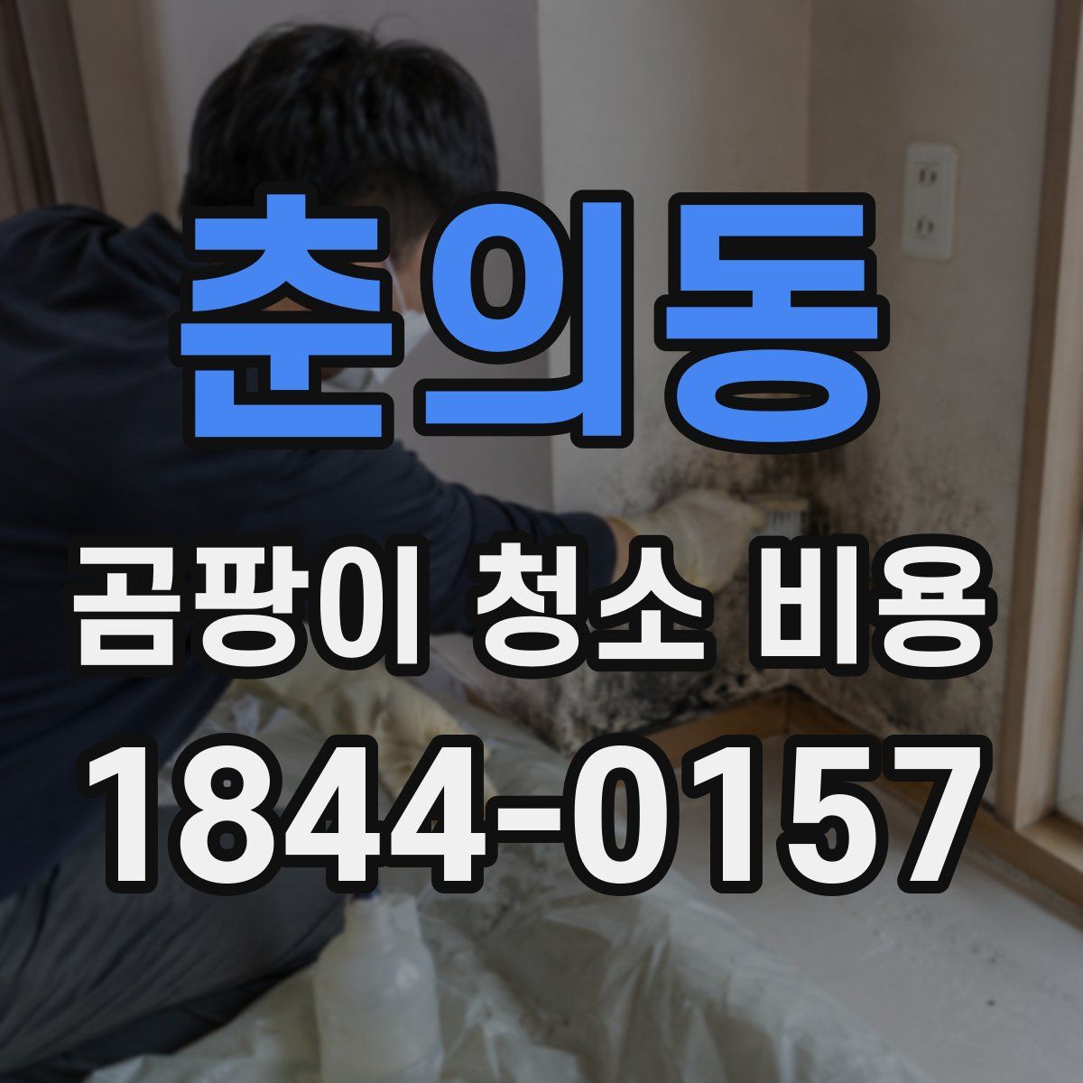 춘의동 곰팡이 청소 비용
