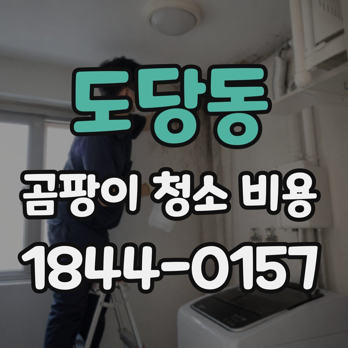 도당동 곰팡이 청소 비용