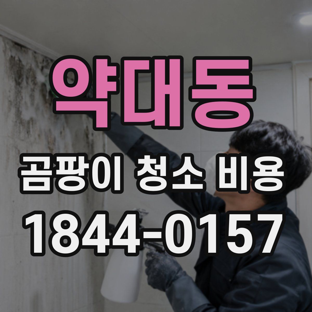 약대동 곰팡이 청소 비용