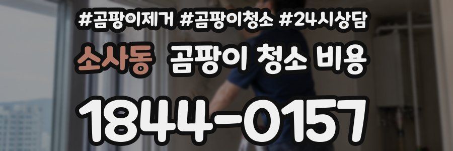 소사동 곰팡이 청소 비용