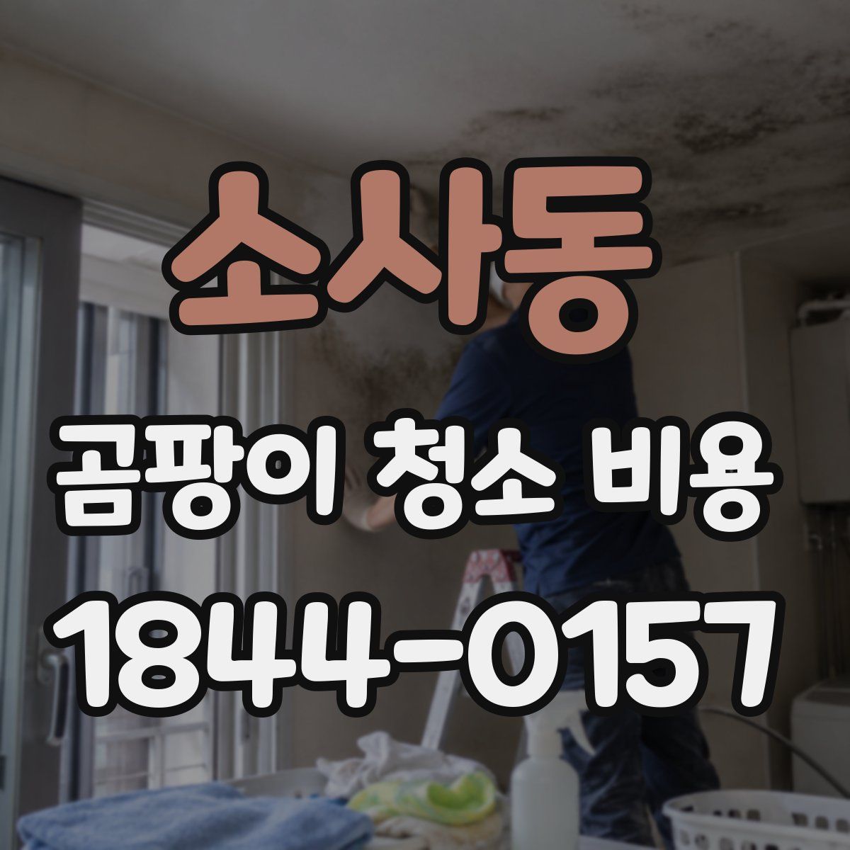 소사동 곰팡이 청소 비용