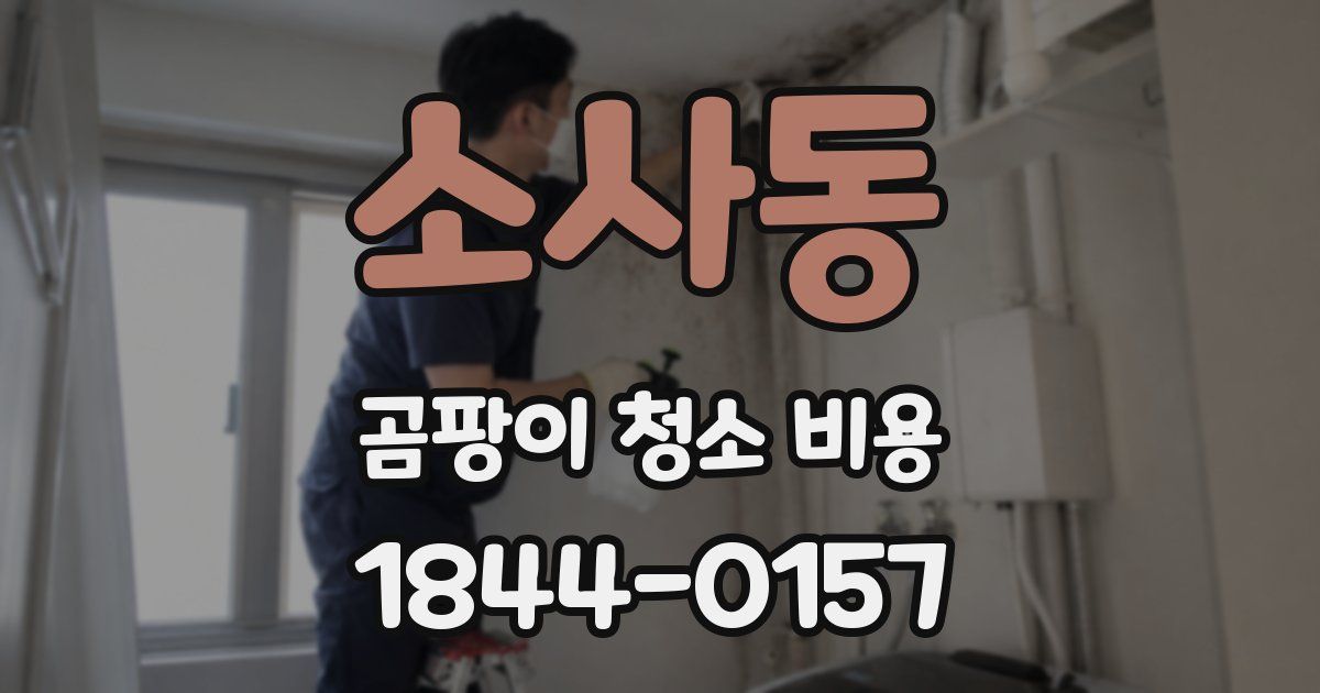 소사동 곰팡이 청소 비용