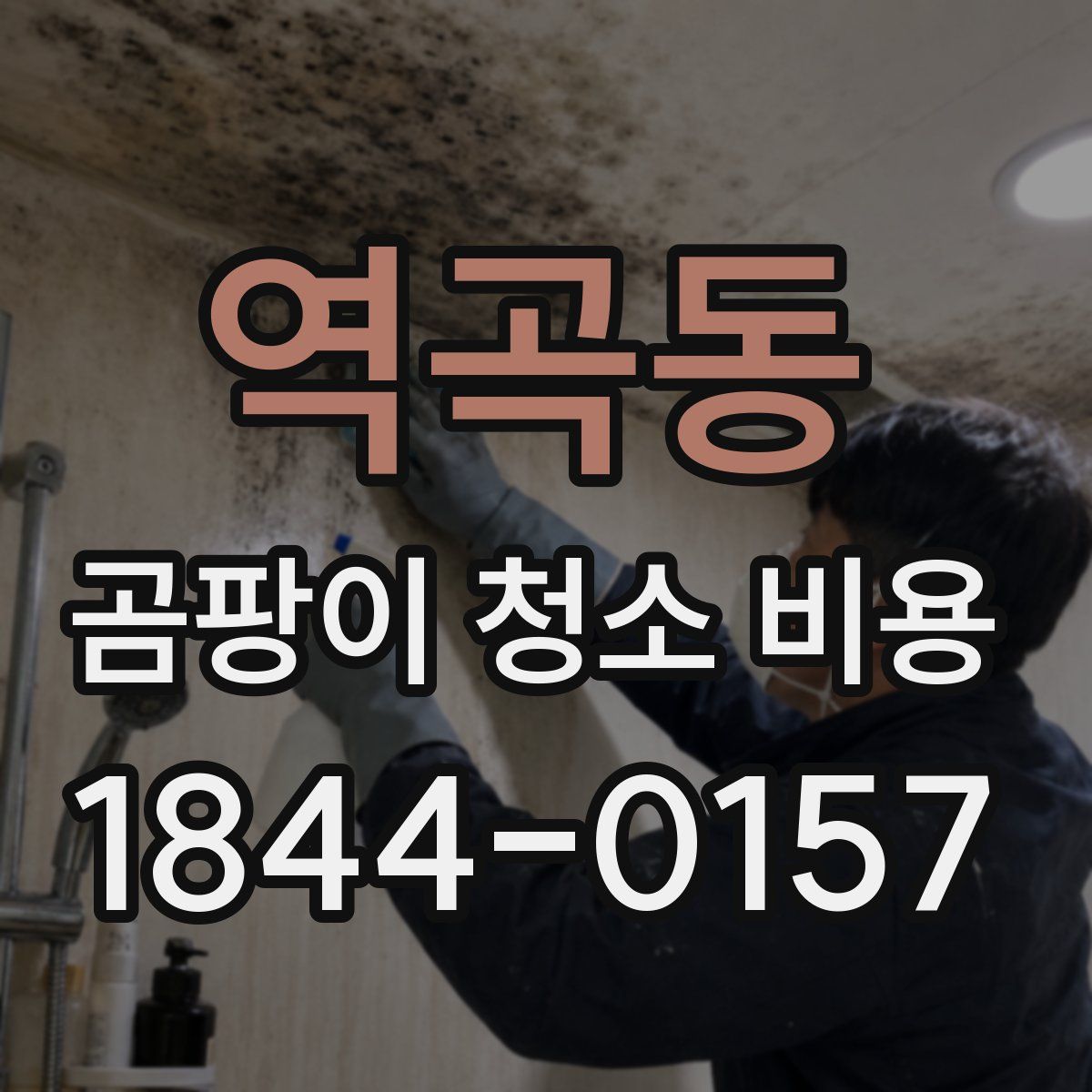 역곡동 곰팡이 청소 비용