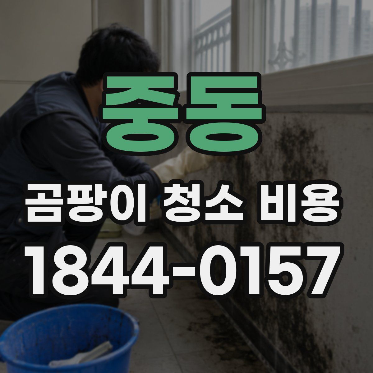 중동 곰팡이 청소 비용