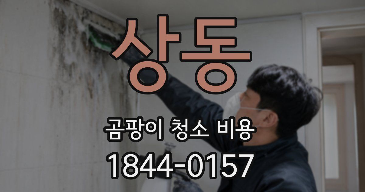 상동 곰팡이 청소 비용