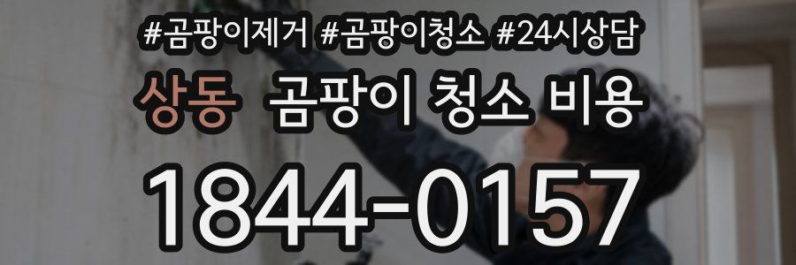 상동 곰팡이 청소 비용