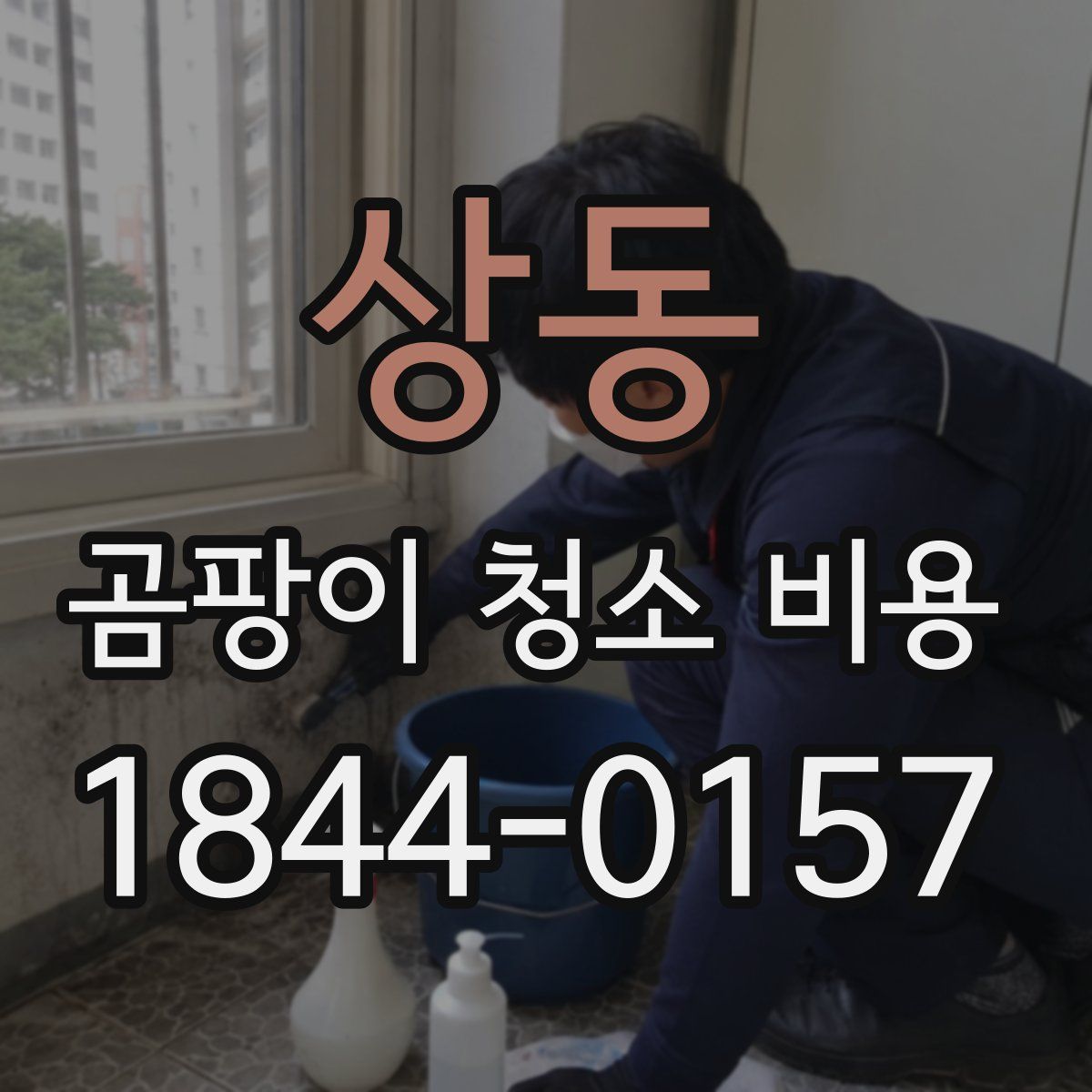 상동 곰팡이 청소 비용