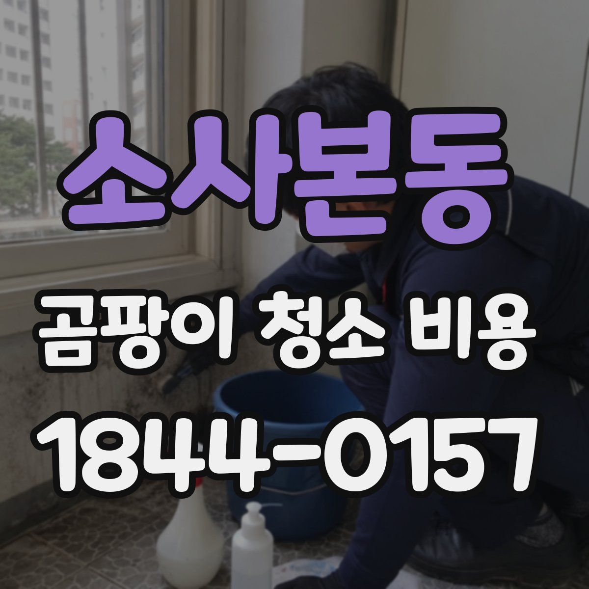 소사본동 곰팡이 청소 비용