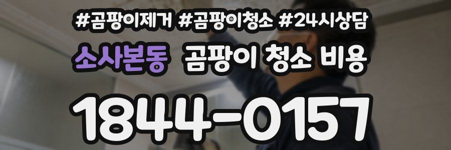 소사본동 곰팡이 청소 비용
