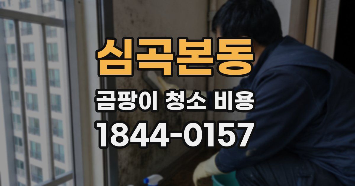 심곡본동 곰팡이 청소 비용