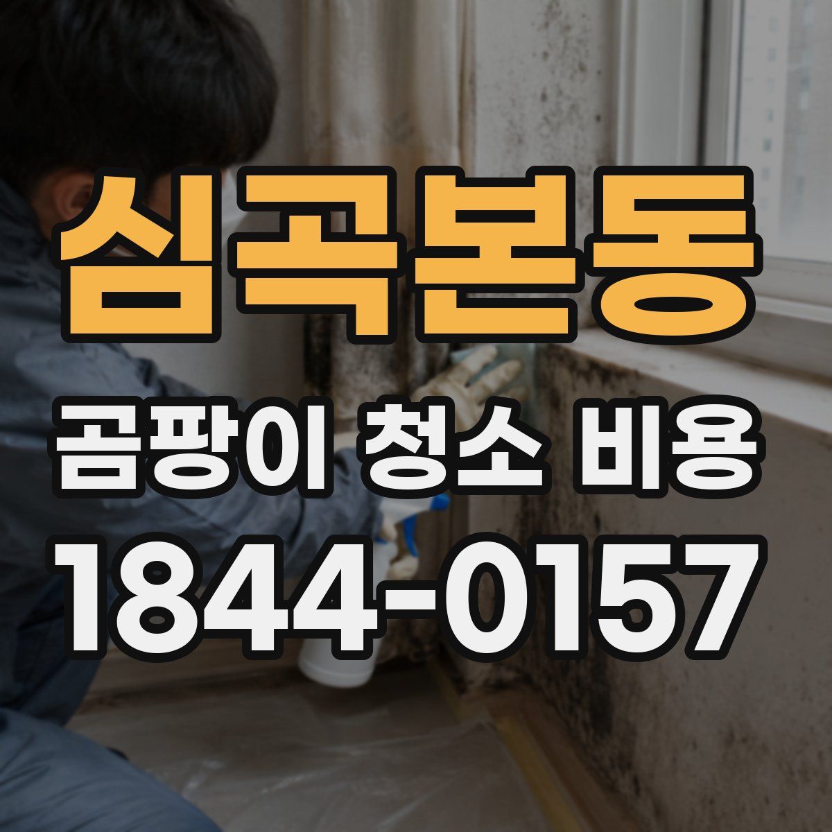 심곡본동 곰팡이 청소 비용