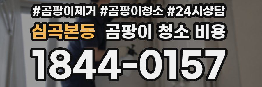 심곡본동 곰팡이 청소 비용