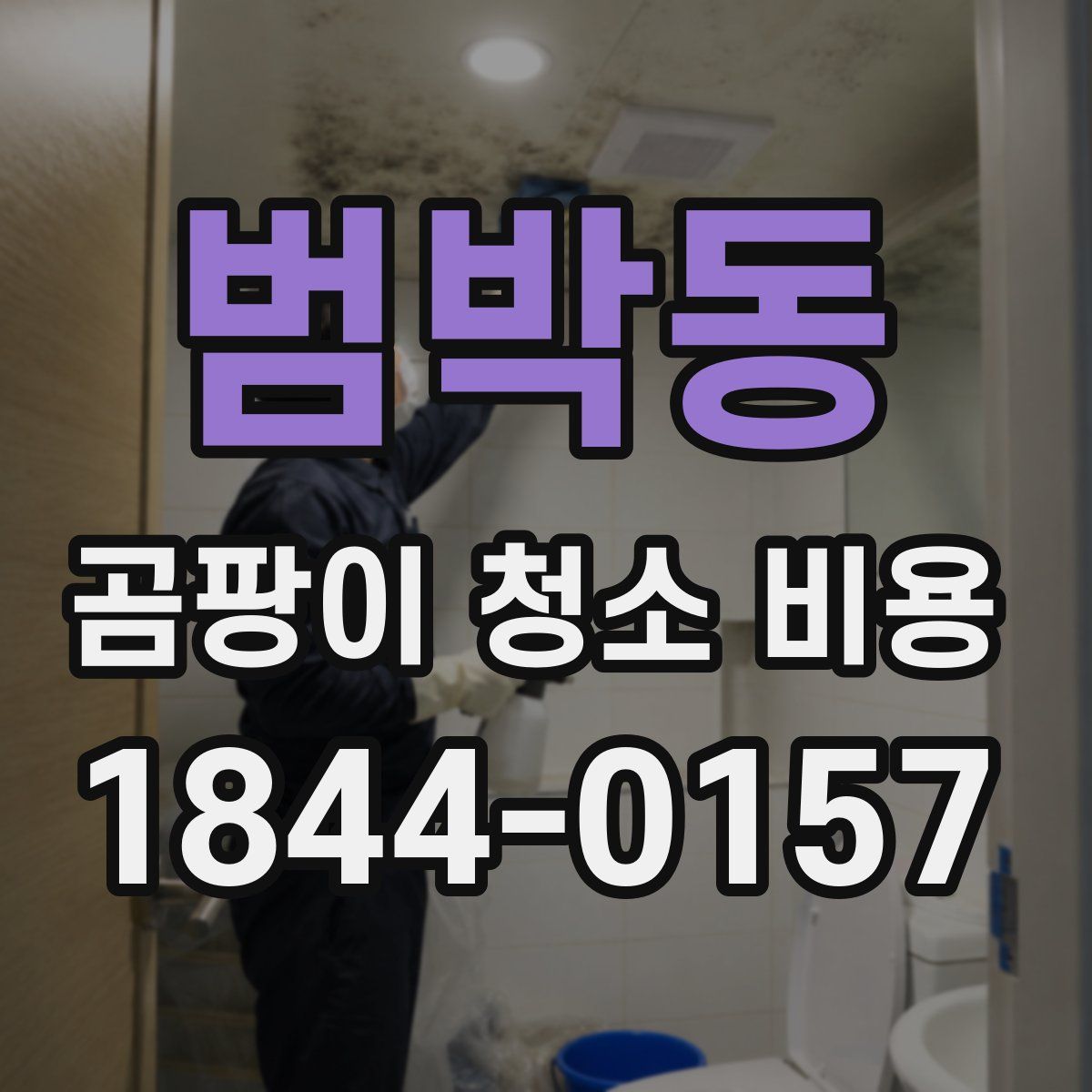 범박동 곰팡이 청소 비용