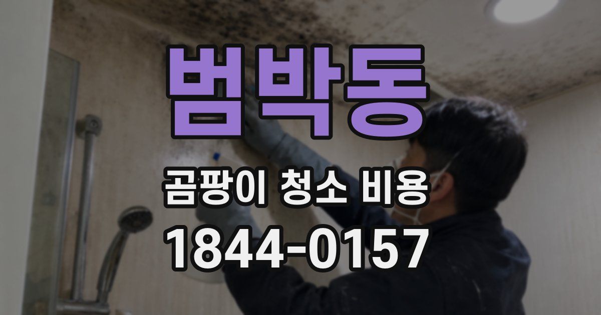 범박동 곰팡이 청소 비용