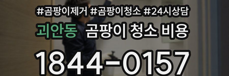 괴안동 곰팡이 청소 비용