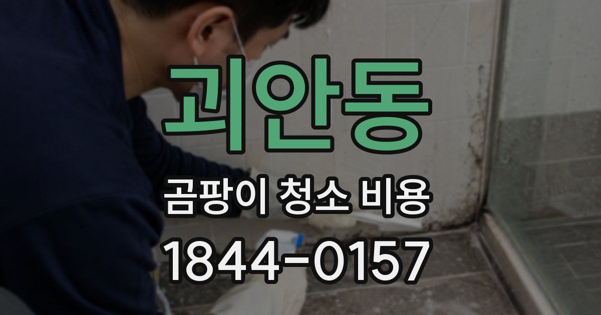 괴안동 곰팡이 청소 비용