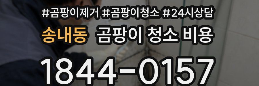 송내동 곰팡이 청소 비용
