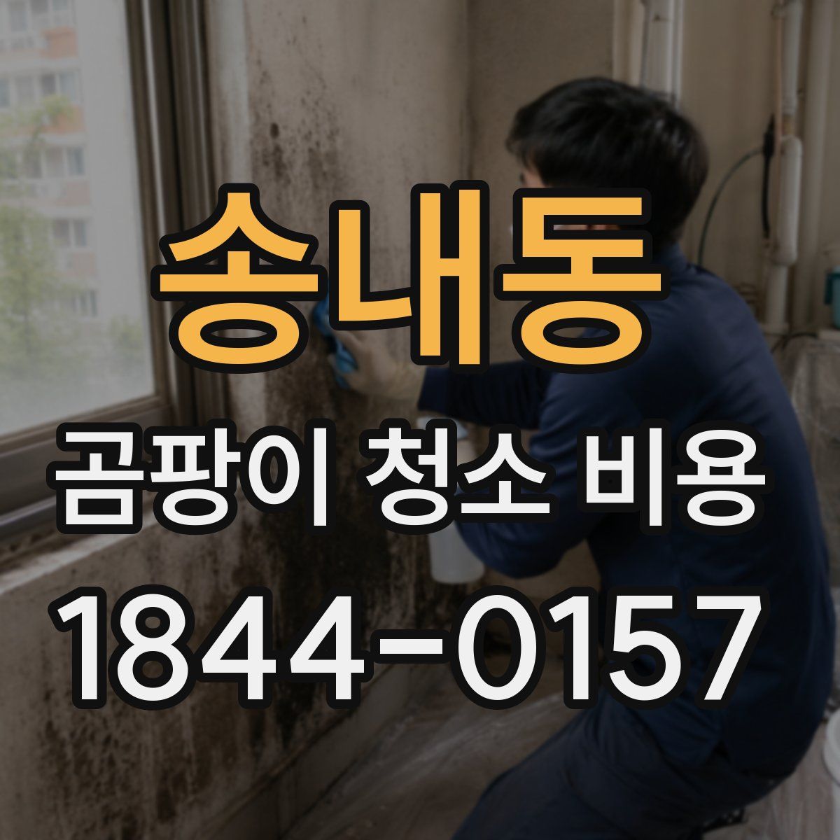 송내동 곰팡이 청소 비용