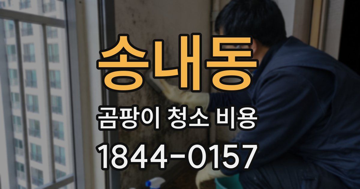 송내동 곰팡이 청소 비용