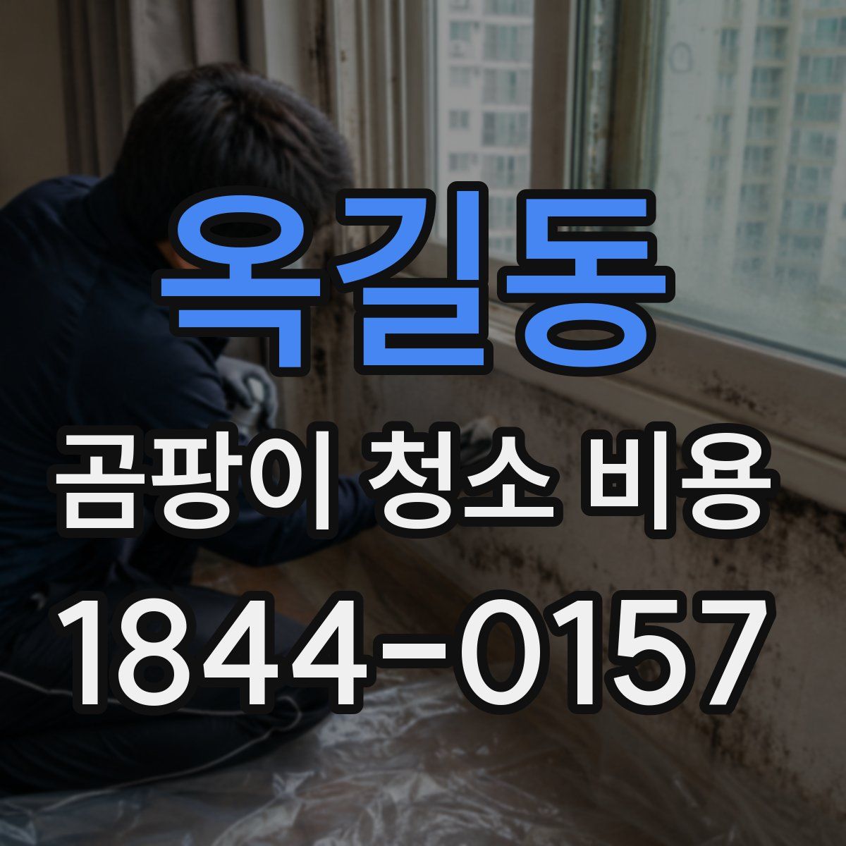 옥길동 곰팡이 청소 비용