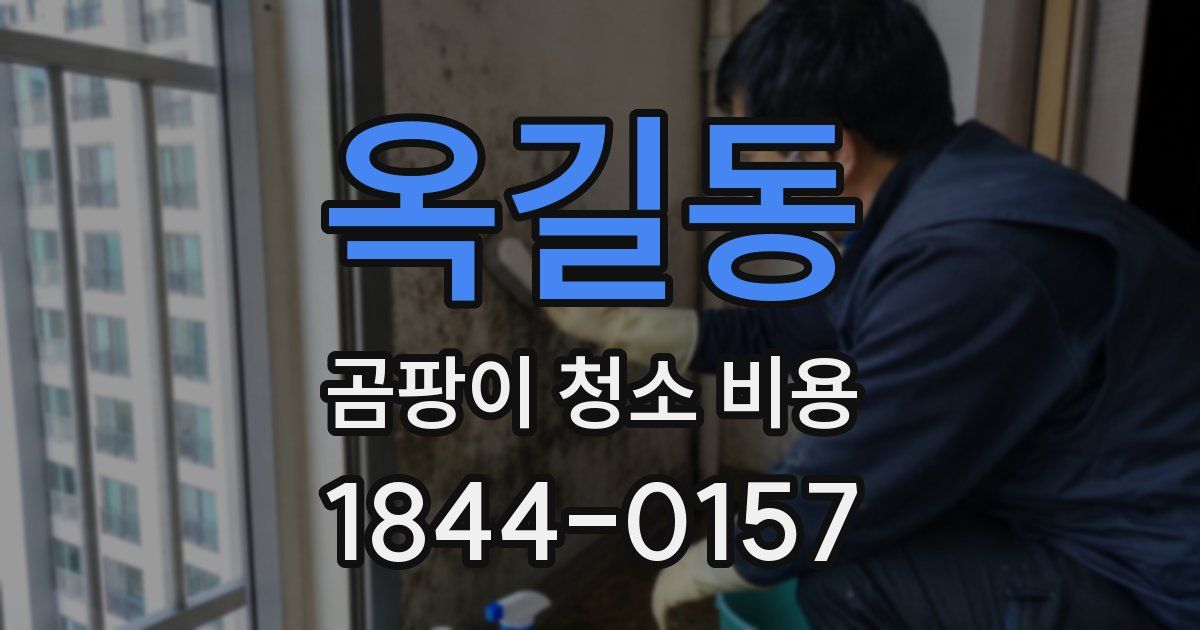 옥길동 곰팡이 청소 비용