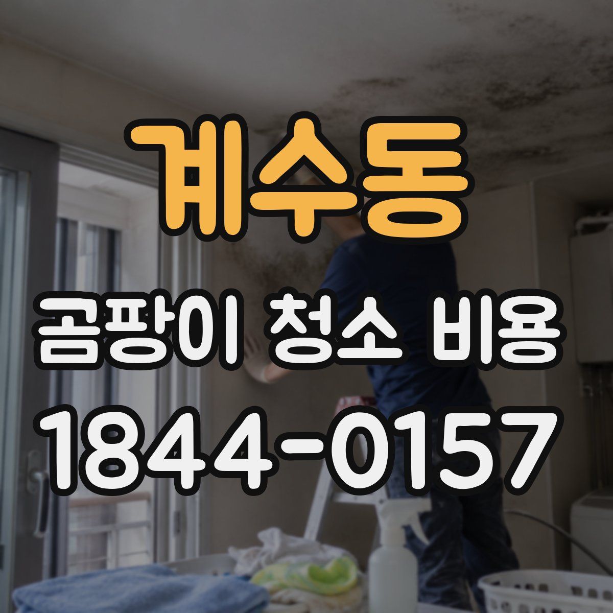 계수동 곰팡이 청소 비용