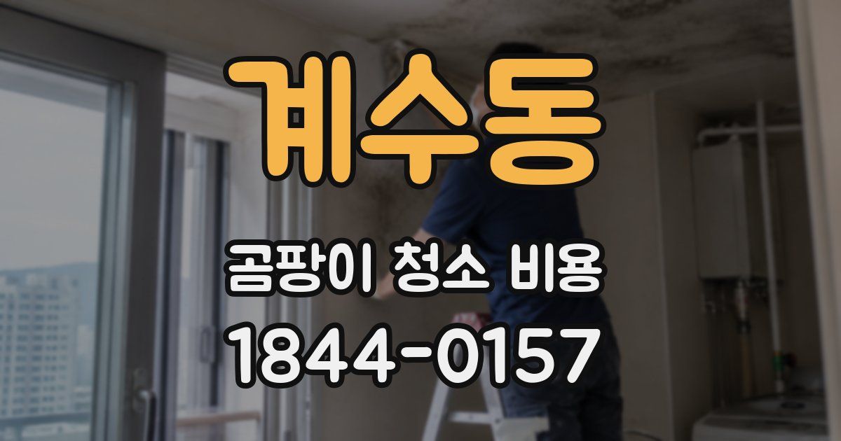 계수동 곰팡이 청소 비용