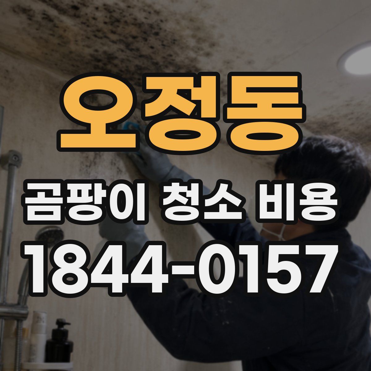 오정동 곰팡이 청소 비용