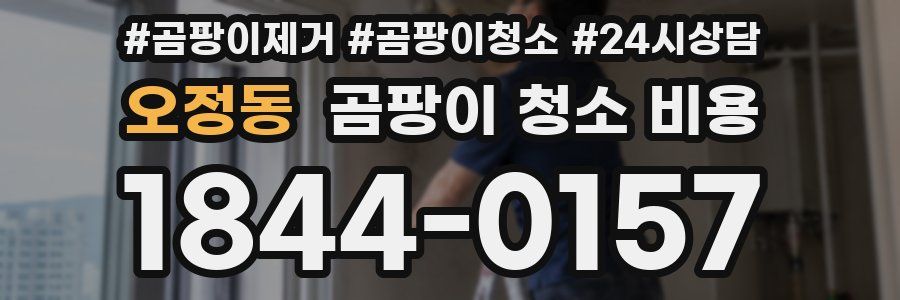 오정동 곰팡이 청소 비용