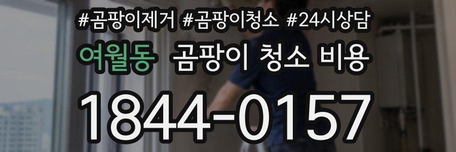 여월동 곰팡이 청소 비용