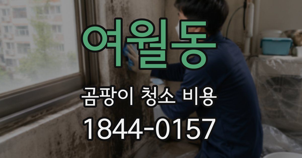 여월동 곰팡이 청소 비용