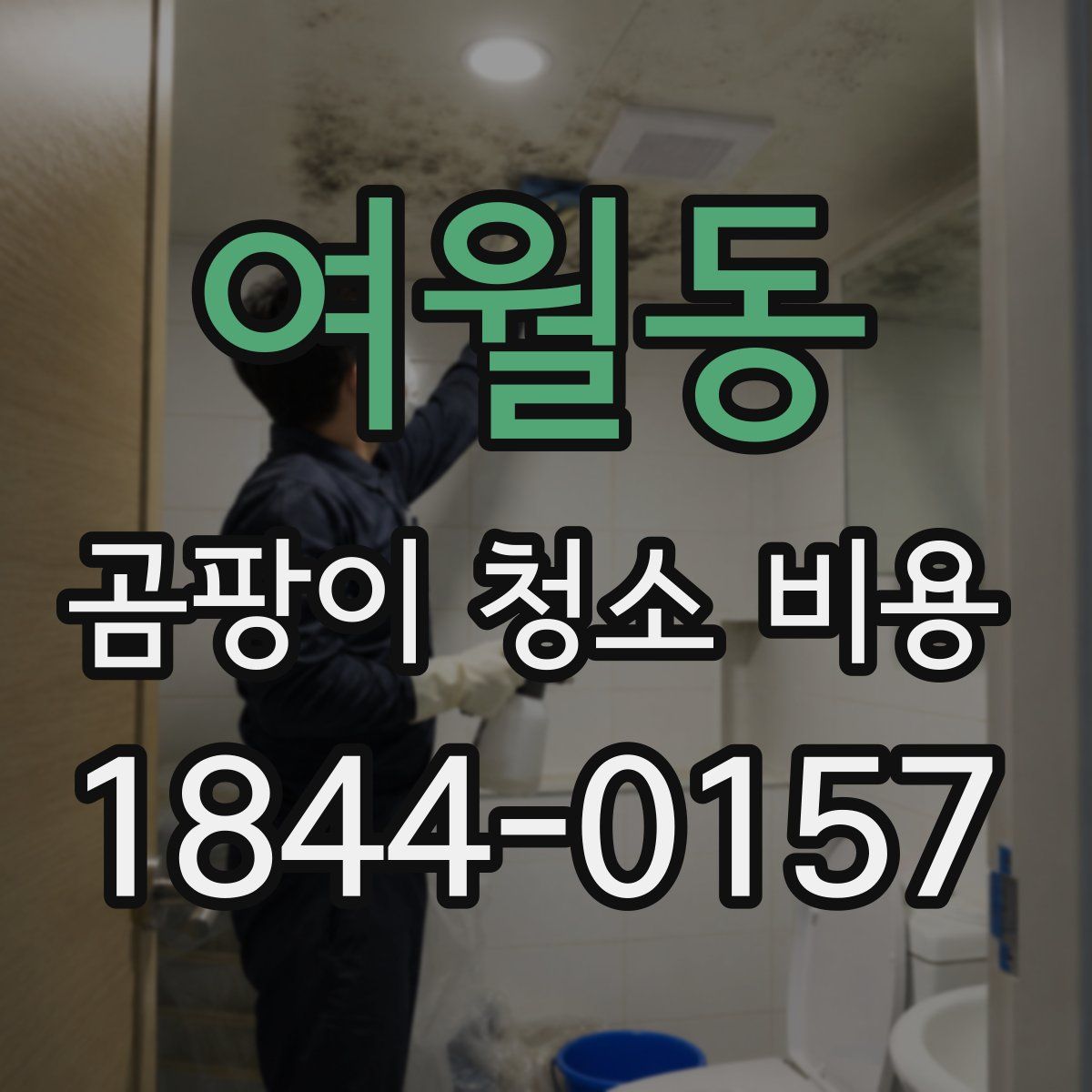 여월동 곰팡이 청소 비용